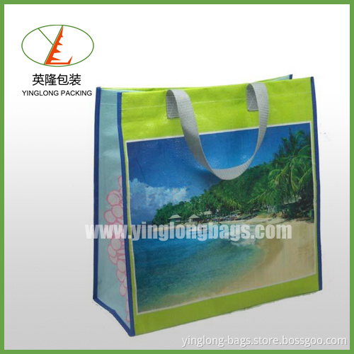 Endurance-Non Woven Lamination Bags (YLNWB-0022)